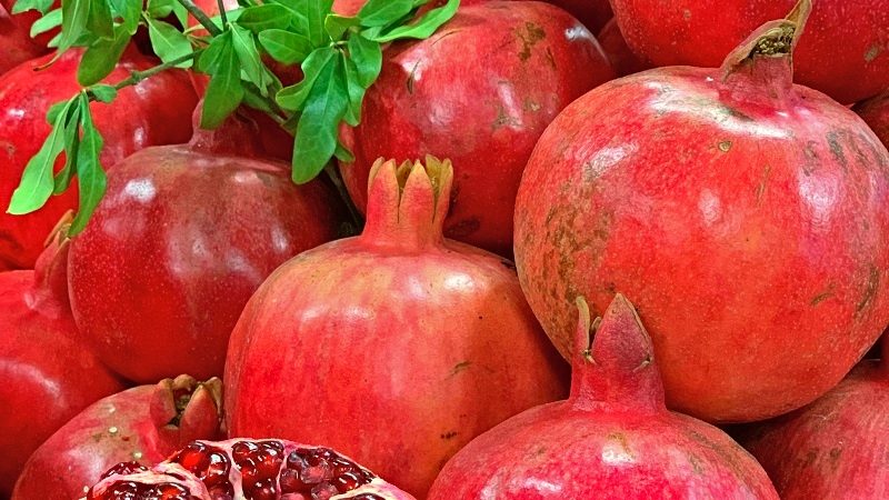 Шопинг тур «Торг уместен!»
