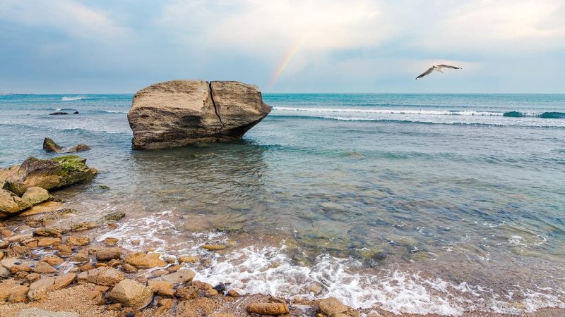 Baku-Beach-profil-4-800x450