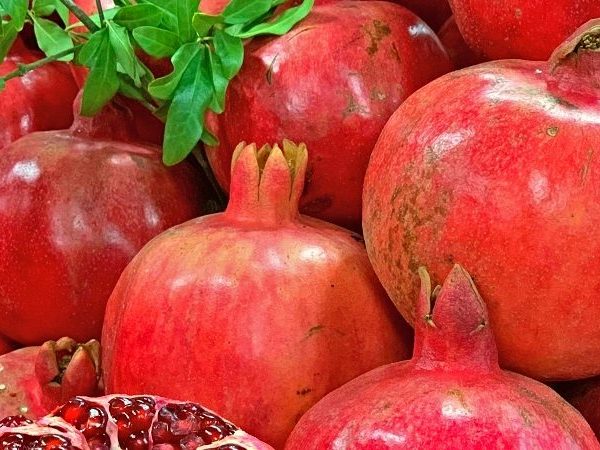 Шопинг тур «Торг уместен!»